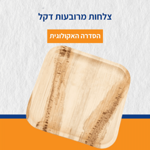 10 יח צלחות מרובעות דקל 10 יח צלחות מרובעות דקל